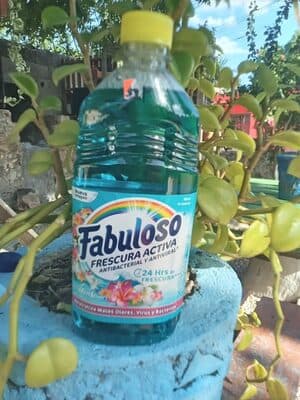 Fabuloso mar fresco