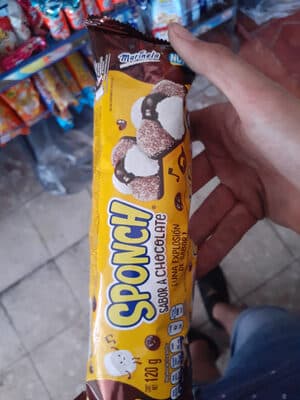 sponch