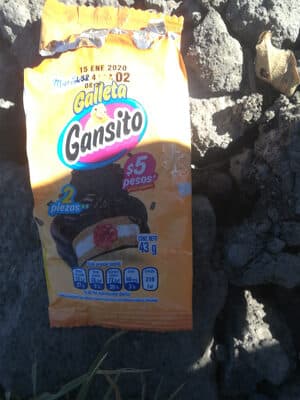 Galleta gansito